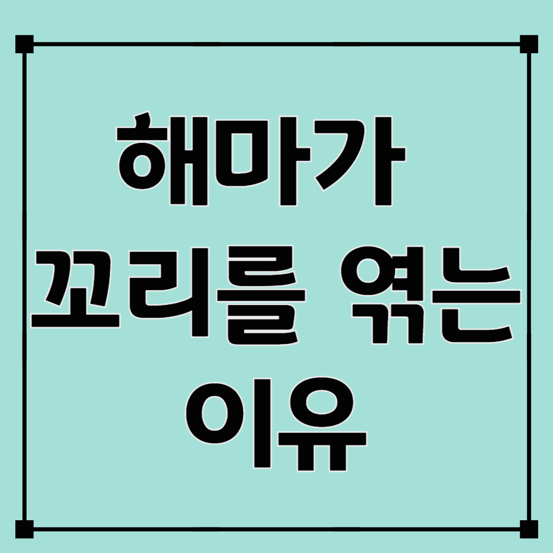 해마는 왜 꼬리를 엮을까? 바닷속 로맨스의 비밀