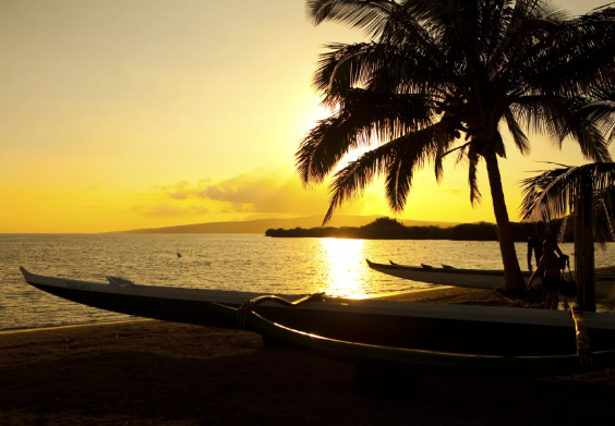 모로카이(Molokai).