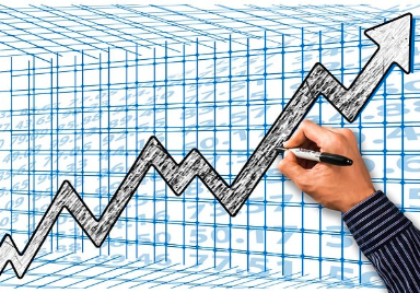 동학개미 서학개미 뜻 및 유래, 왜 이런 이름이 붙었을까?