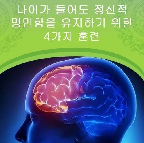 뇌 건강