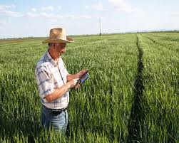 농민수당 자격 확인