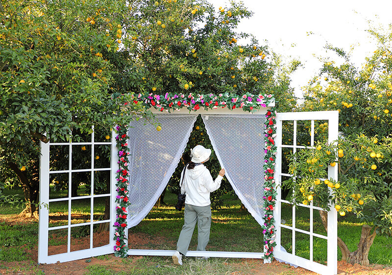 2024 고흥유자축제 일정 프로그램 초대가수 