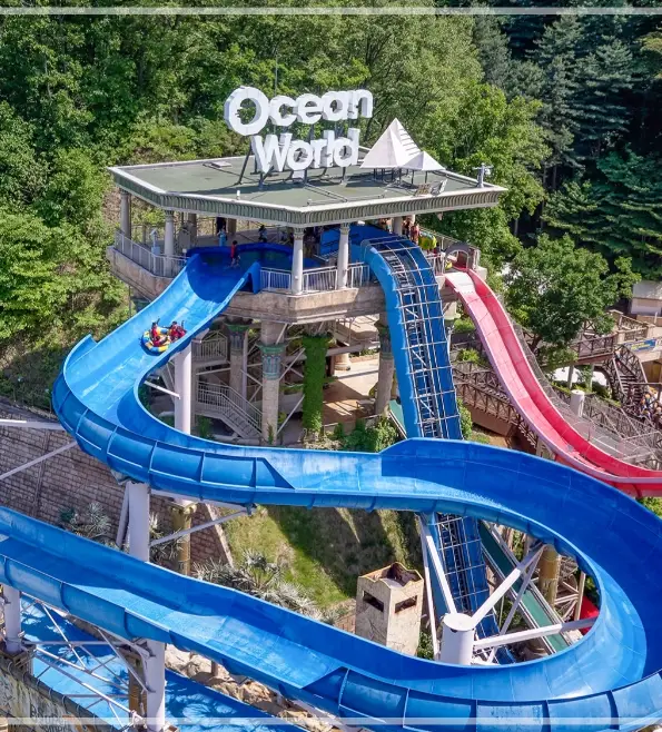 2025-오션월드-셔틀버스-예약-가격-운행노선