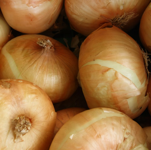 양파 효능과 부작용 칼로리