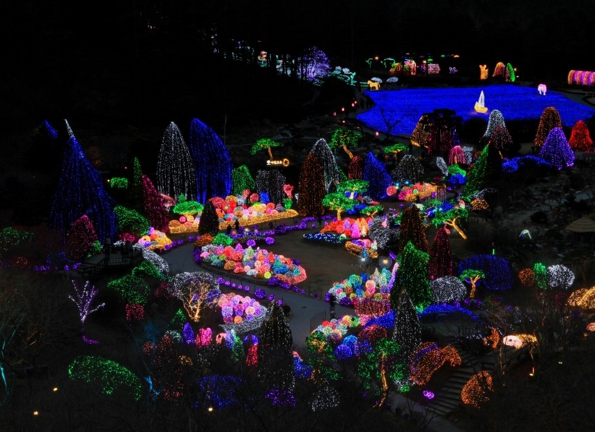 아침고요수목원 오색별빛정원전
