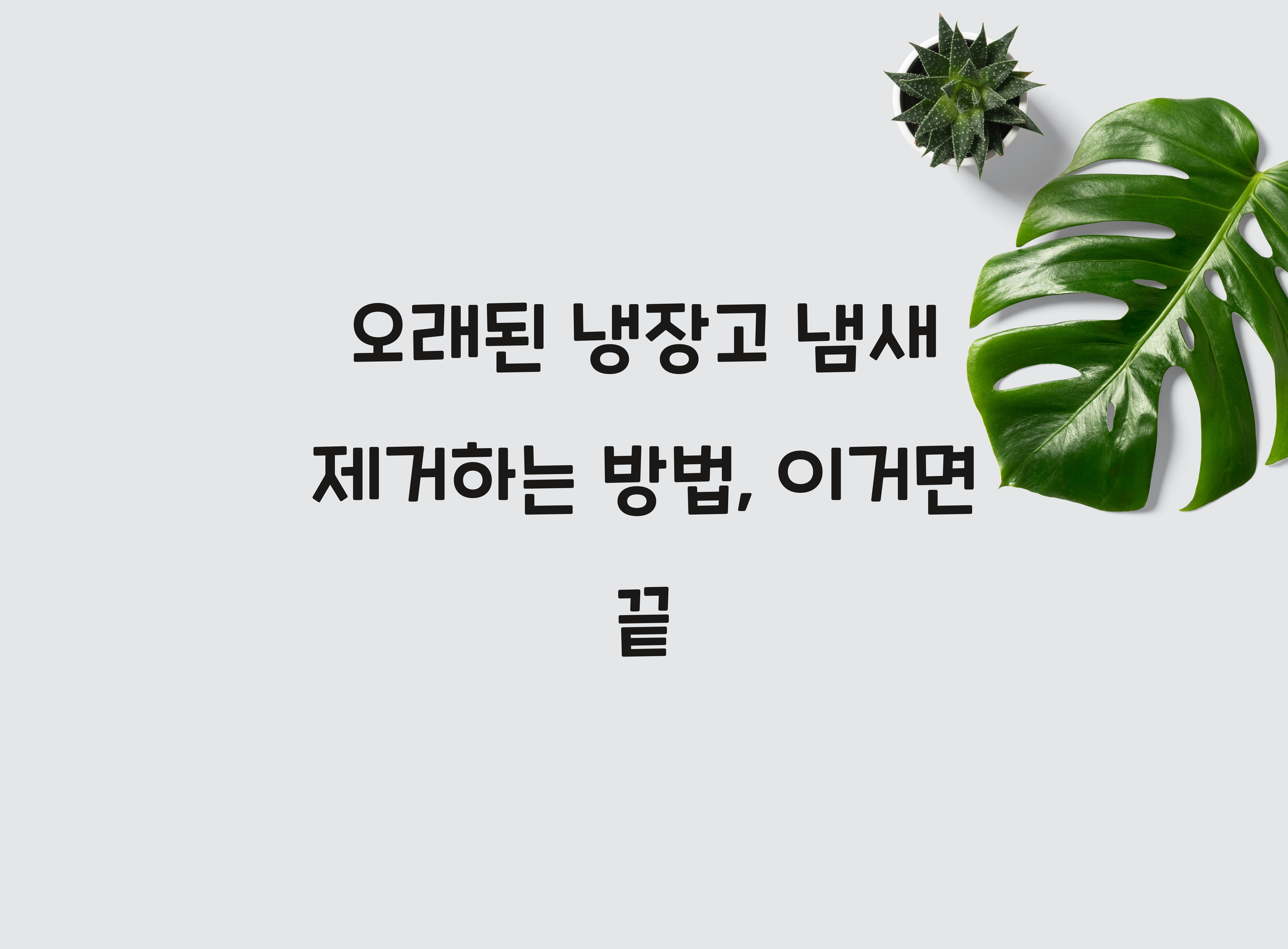 오래된 냉장고 냄새 제거하는 방법