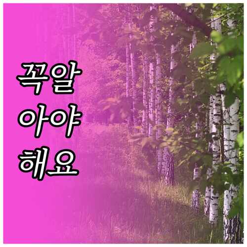 퇴직연금 세액공제 확대 핵심 정리 노..