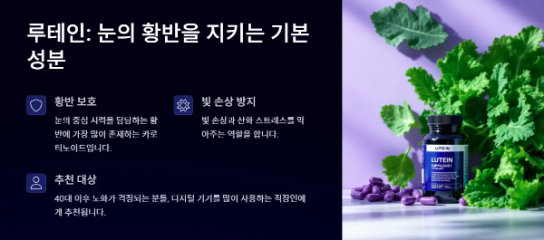 루테인-성분