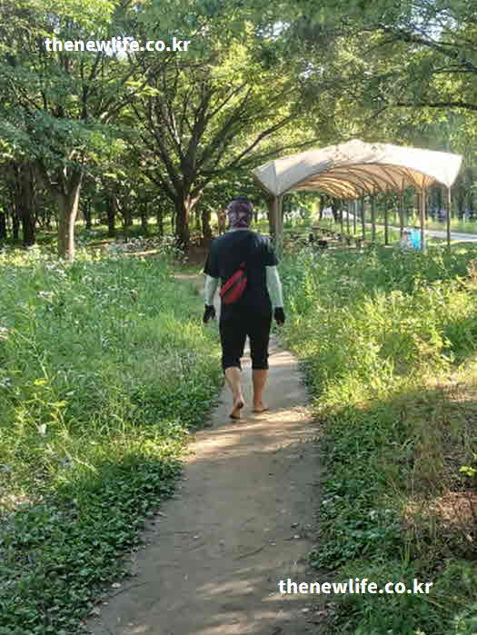 맨발걷기 효능 관절 건강 보호