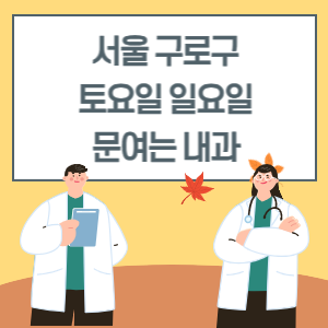 서울 구로구 토요일 일요일 내과 진료 병원 리스트