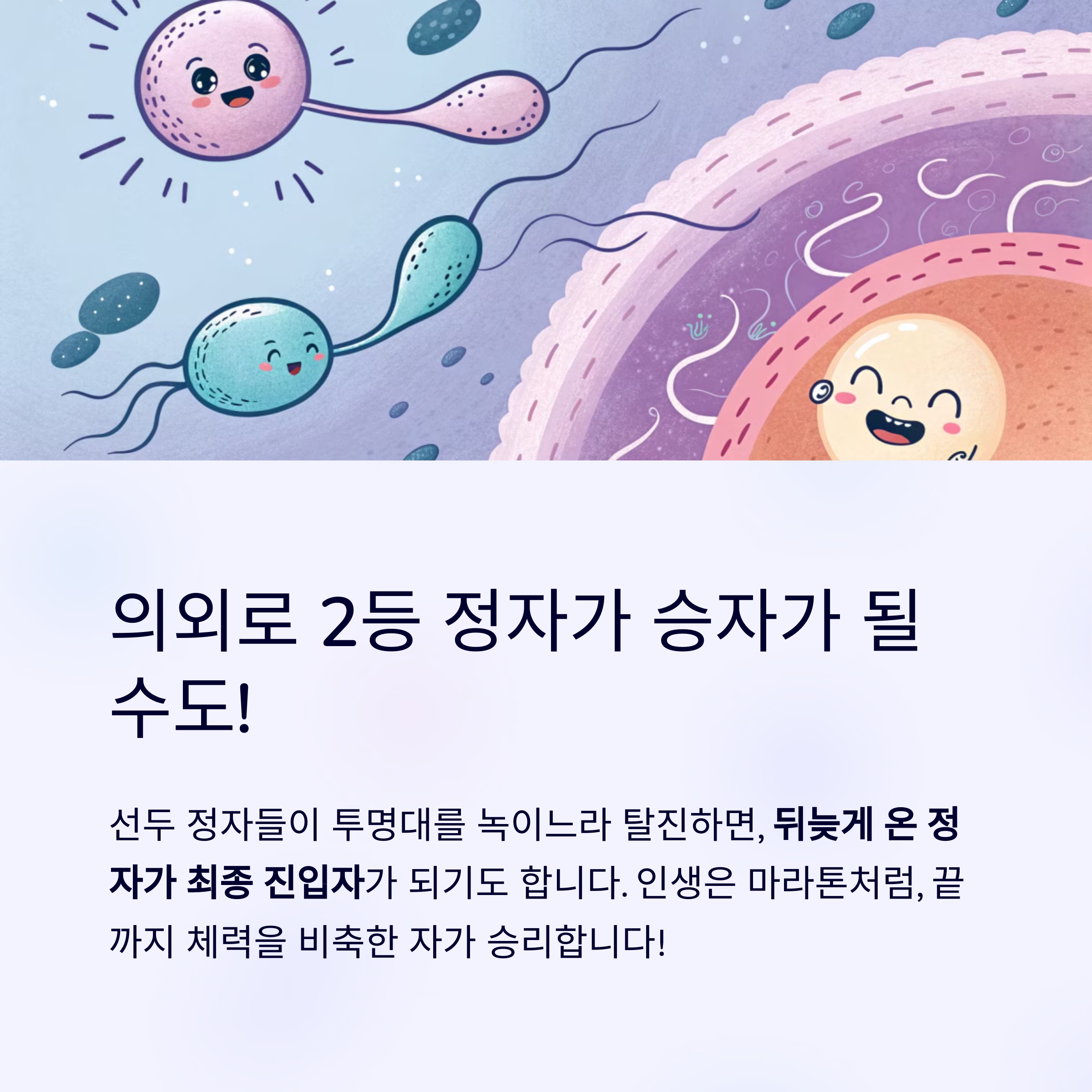 한 명만 살아남는다! 난자와 정자의 극한 여정-인포그래픽6