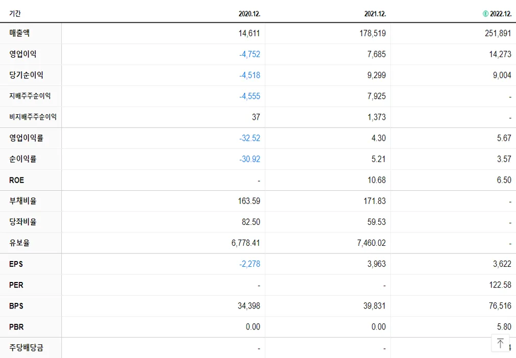 LG에너지솔루션 재무제표