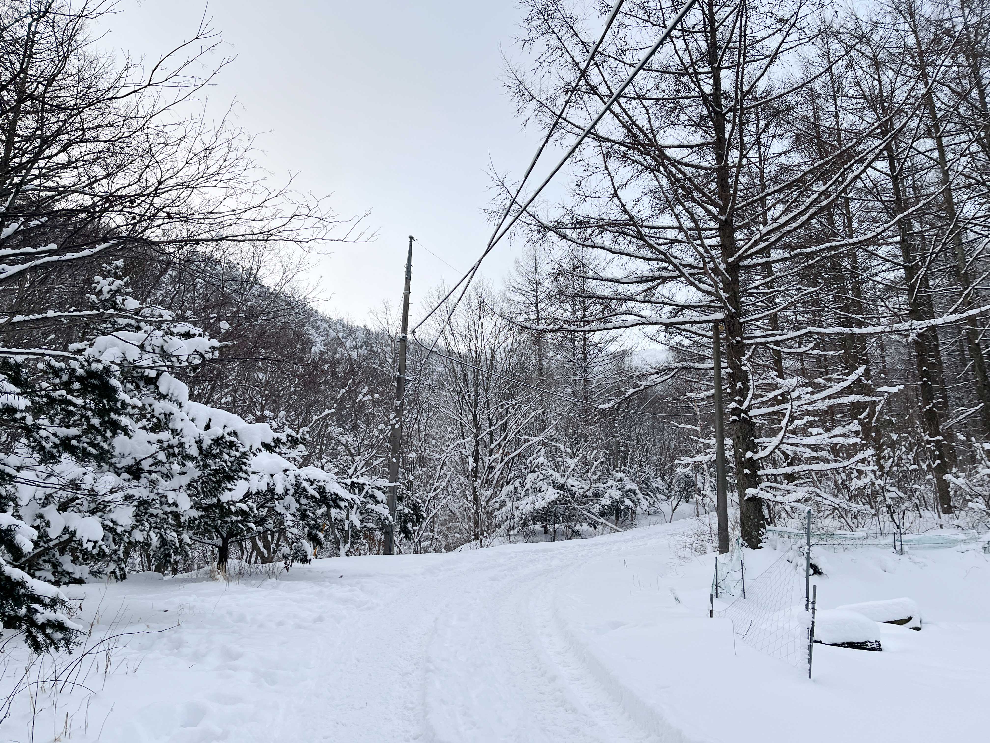 태백산