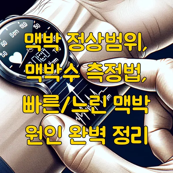 맥박 정상범위, 맥박수 측정법, 빠른/느린 맥박 원인 완벽 정리