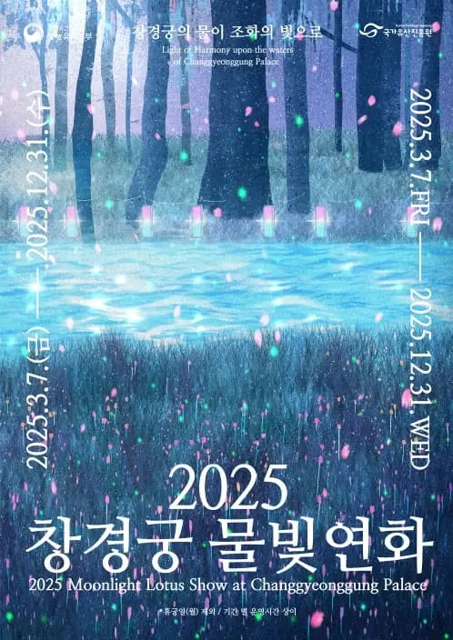 2025 창경궁 물빛연화, 서울 야경 데이트 명소 완벽 가이드!