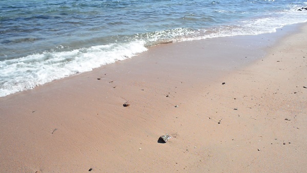 트래블 버블 뜻