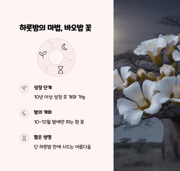 바오밥 나무 꽃