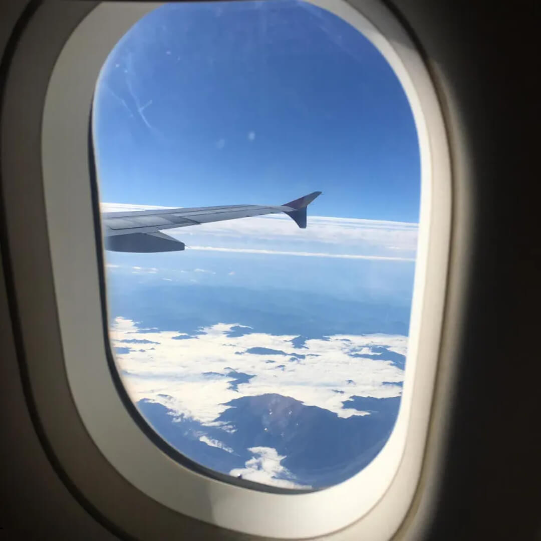 비행기 생존율 높이는 방법 5가지