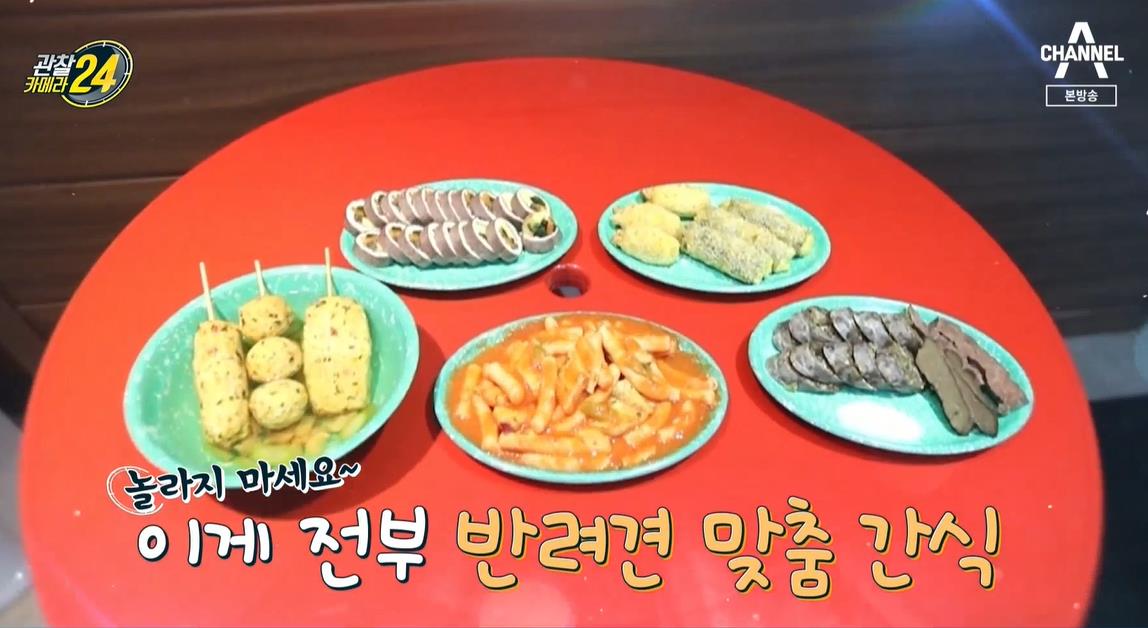 댕댕이 간식