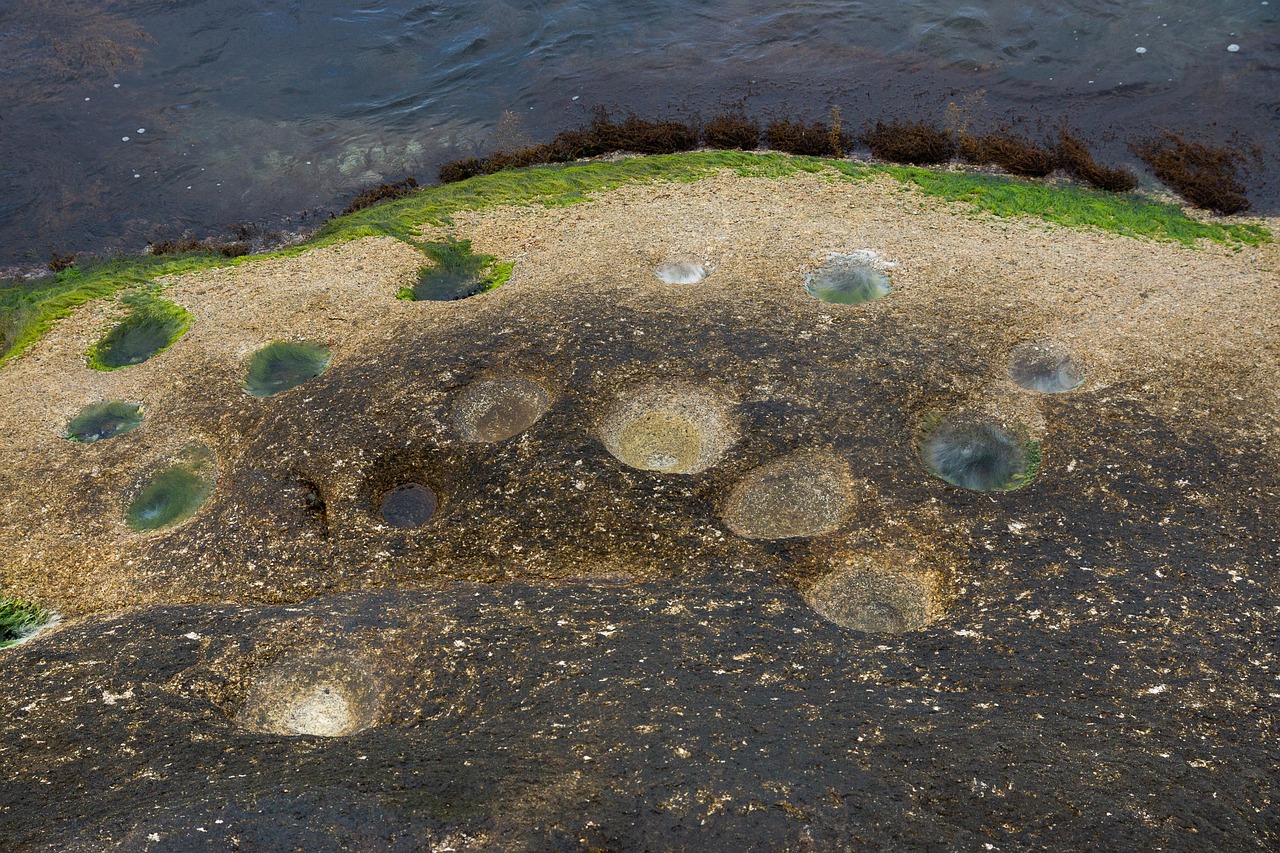 공룡의 생존을 위한 에너지 소비와 대사