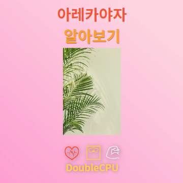 아레카야자 탐구