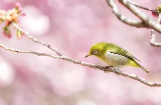 화담숲 예약-안내