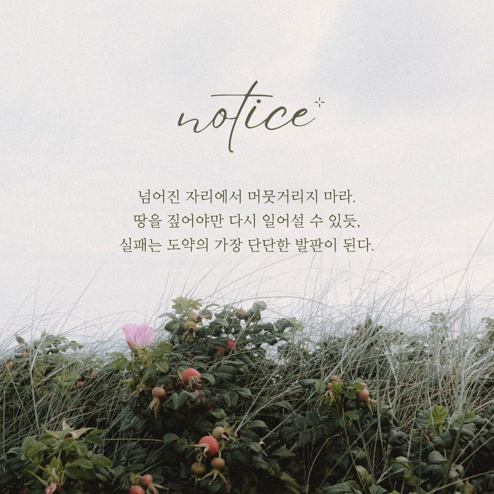 짧은 명언 인생 조언 글귀 밤에 잠자기 전 보기 좋은 문구 이미지