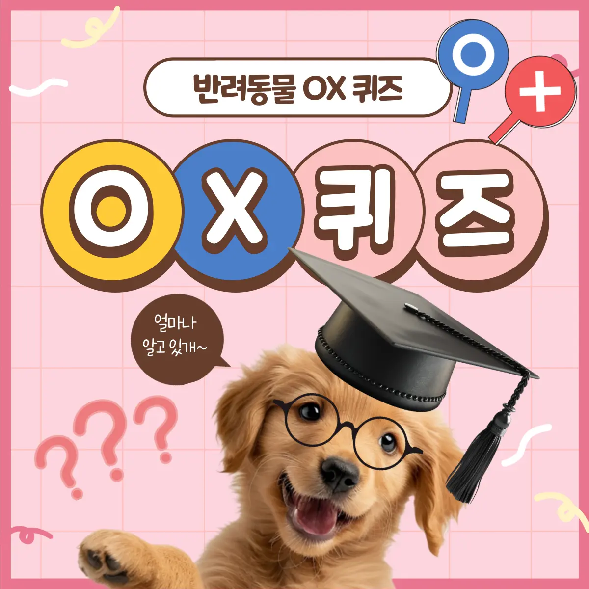 울산전시컨벤션센터 2024 반려동물 박람회 & 펫관광 페스타 소개 축제 행사 일정 시간 부스 배치도 참여 관람 방법