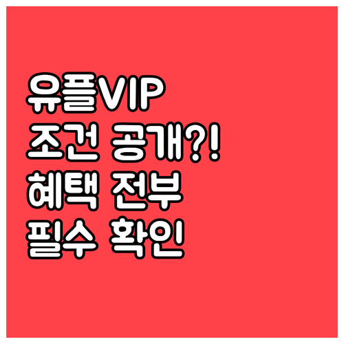 유플러스 VIP 등급 조건 및 혜택 ..