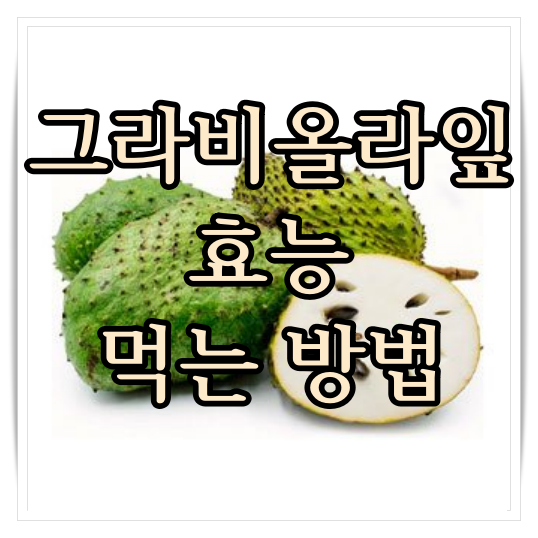 그라비올라 잎 효능 먹는 방법