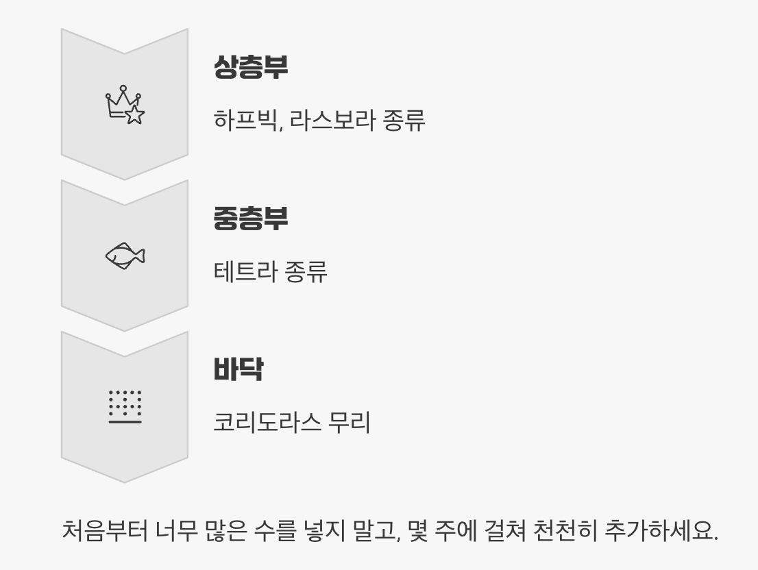 첫 식구를 맞이하는 시간