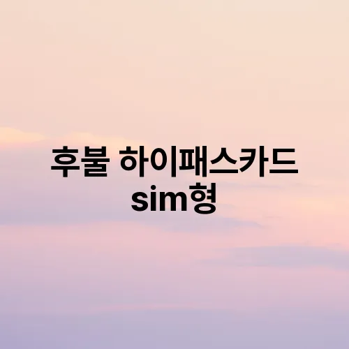 후불 하이패스카드 sim형