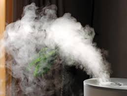 가습기 관련 사진