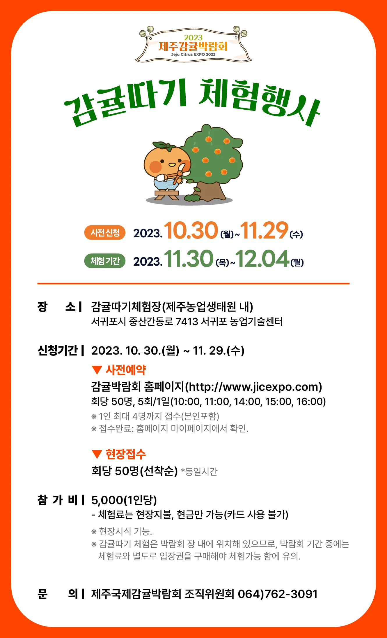 감귤따기 체험행사
