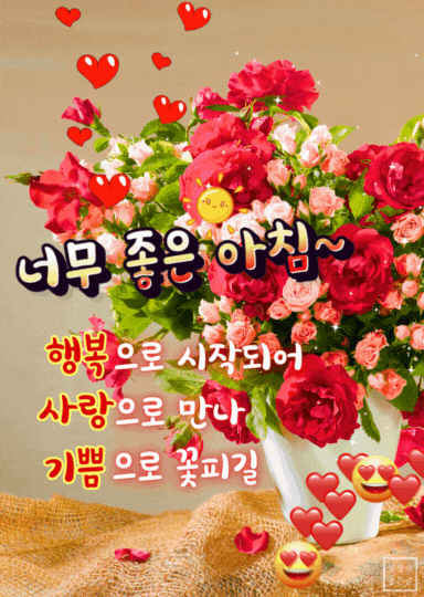 아침 인사 장미 꽃다발 이미지 너무 좋은 아침 행복 사랑 기쁨 글귀