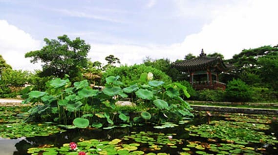 고양꽃박람회 사전예매