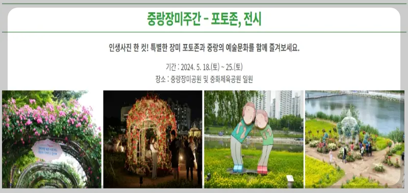 중랑 서울 장미축제_14