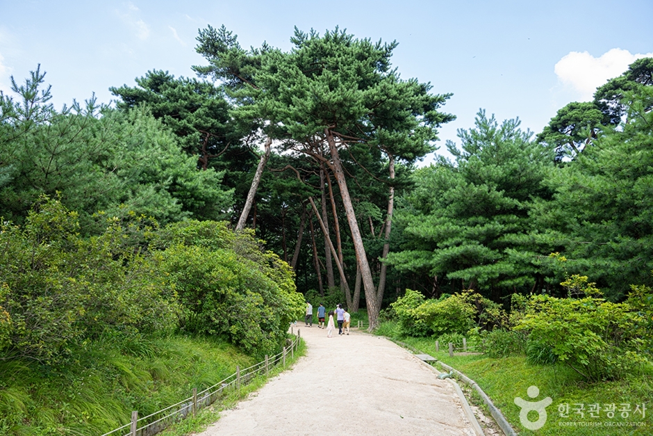 화성 융릉과 건릉