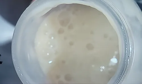 생활의 달인 깜빠뉴 1위 구로 수밀 블랑제리 캉파뉴 치아바타 빵집 맛집10