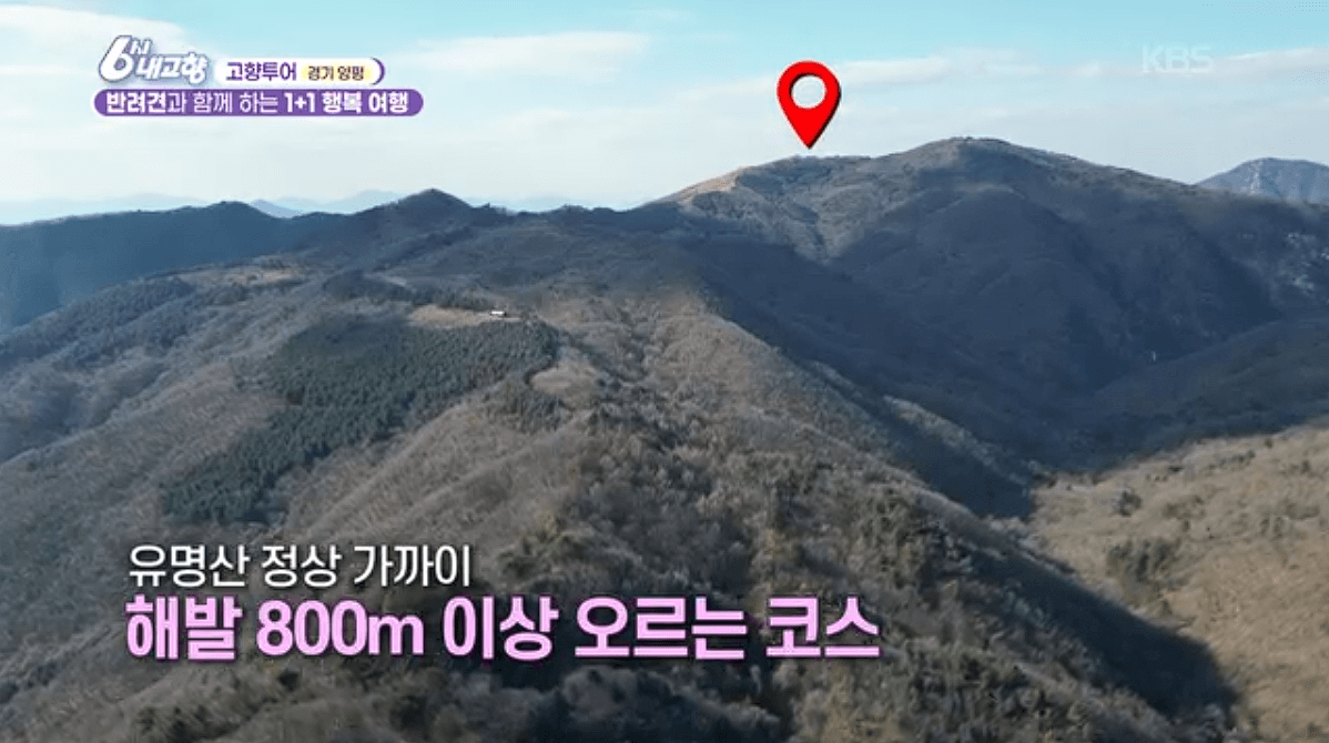 [6시내고향]경기 양평 애견동반 바베큐&middot;정원카페&middot;산악 액티비티 &amp;#39;바베큐레이브 더그림 엑스라이프&amp;#39; 예약 위치 연락처 정보