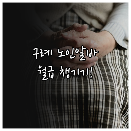 구례군 노인일자리와 시니어클럽 활용법..