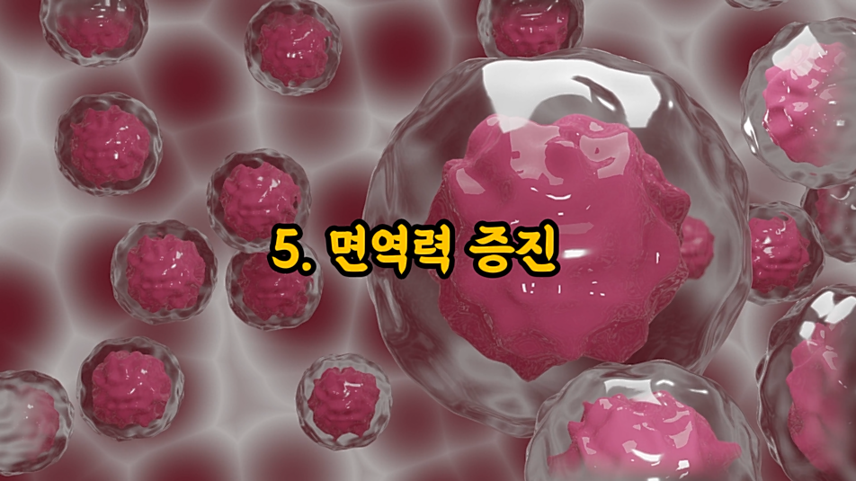 우리가 여름에 수박을 꼭 먹어야 하는 이유