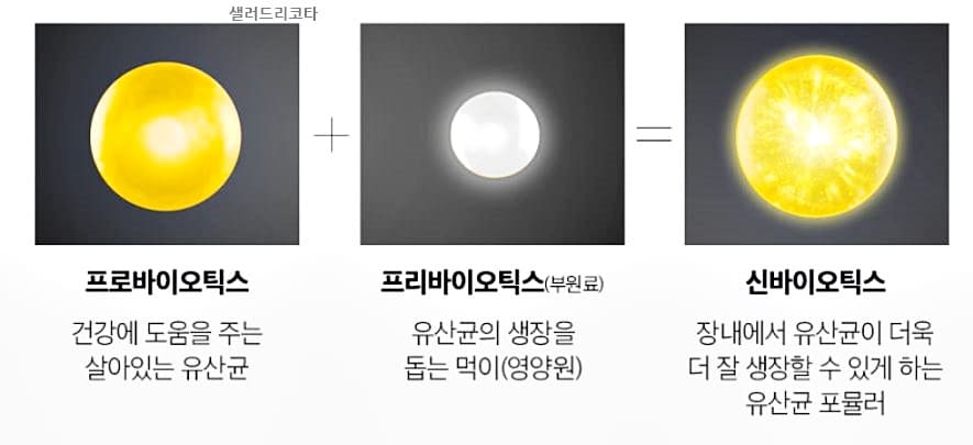 락토핏생유산균