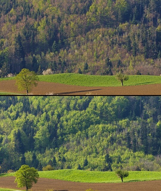 탄소중립포인트 자동차