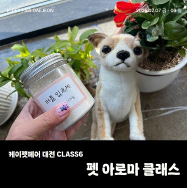 2025 케이펫페어 대전 무료입장 체험클래스 신청