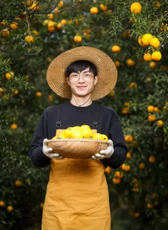 유자 재배 겨울 보온 방풍막 설치 염해 예방_3