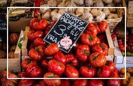 홈플러스 2월 휴무일