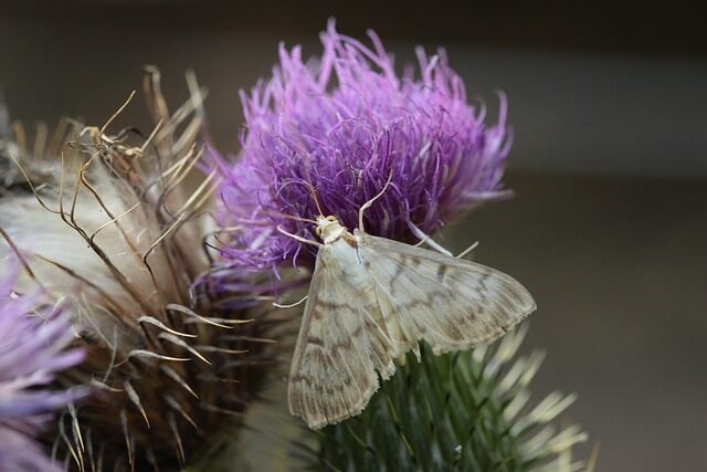 상생페이백 신청_8