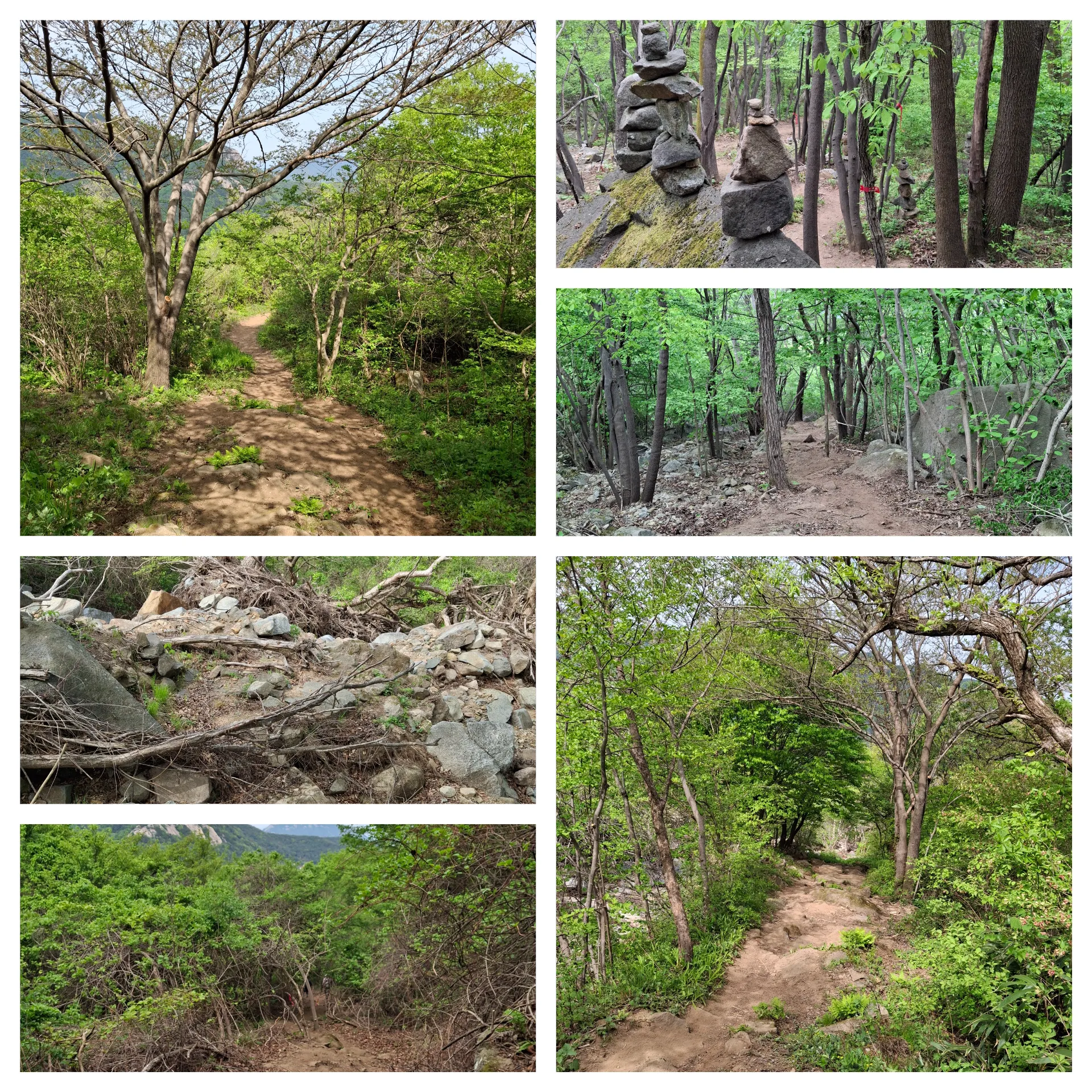 봄 황매산