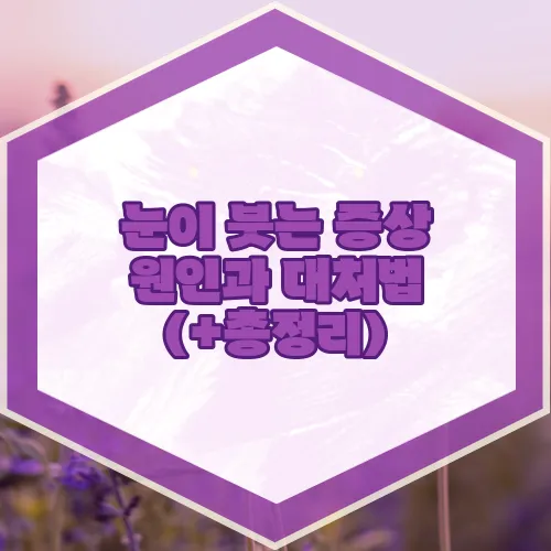 눈이 붓는 증상 원인과 대처법 (+총정리)
